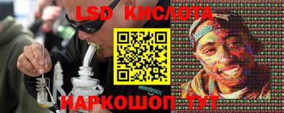 стаф Заводоуковск