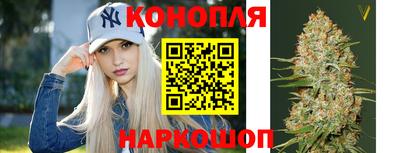 стаф Заводоуковск