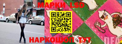 амф Заволжье